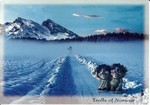 Postkarte NyForm 1997